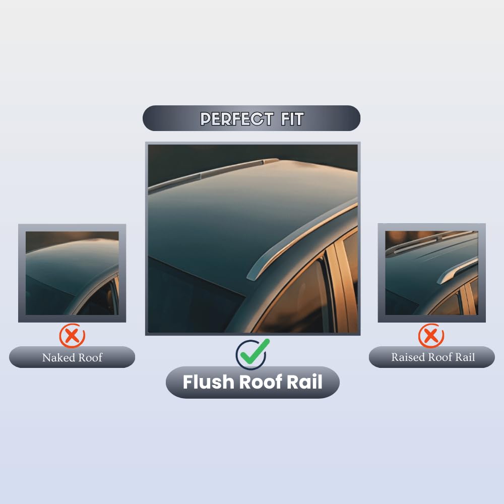 https://m.media-amazon.com/images/I/51o4+iyrb+L.jpg